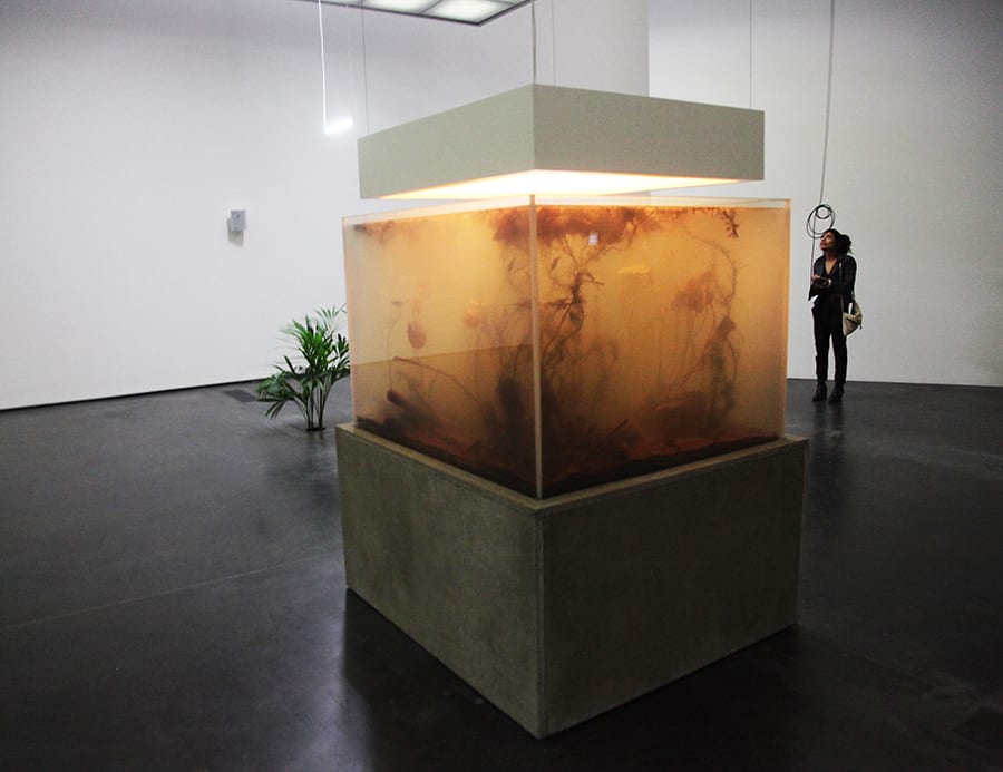 Switchable Smart Glass aquarium in art gallery